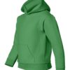 Youth Hooded Sweatshirt (Unisex)