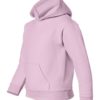 Youth Hooded Sweatshirt (Unisex)