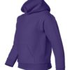 Youth Hooded Sweatshirt (Unisex)