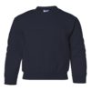 Youth Crew Neck Sweatshirt (Unisex)
