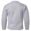 Youth Crew Neck Sweatshirt (Unisex)