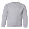 Youth Crew Neck Sweatshirt (Unisex)