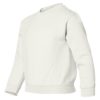 Youth Crew Neck Sweatshirt (Unisex)