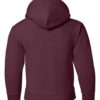 Youth Hooded Sweatshirt (Unisex)