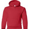 Youth Hooded Sweatshirt (Unisex)