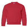 Youth Crew Neck Sweatshirt (Unisex)