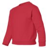 Youth Crew Neck Sweatshirt (Unisex)