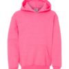 Youth Hooded Sweatshirt (Unisex)