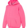 Youth Hooded Sweatshirt (Unisex)