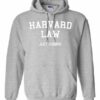 HAVARD LAW  - Adult Hooded Sweatshirt (Unisex)