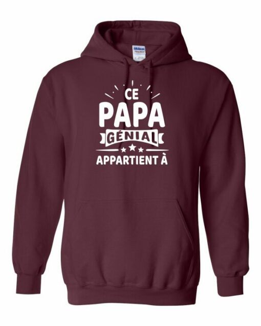 CE PAPA GENIAL APPARTIENT A  - Cotton Ouaté Kangourou (Unisexe) Pour Adulte